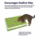 Petstages Grass Patch Hunting Box | Cat