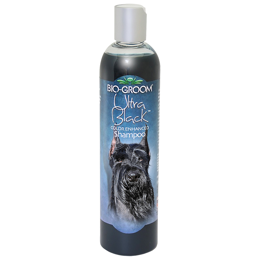 Bio-Groom Ultra Black Shampoo (12oz)