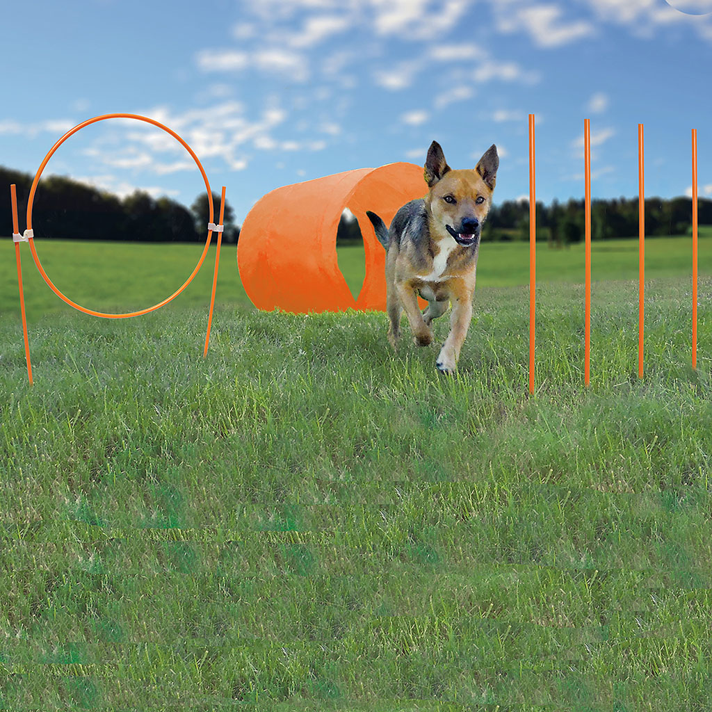Outward Hound Zip &amp; Zoom Outdoor Agility Kit