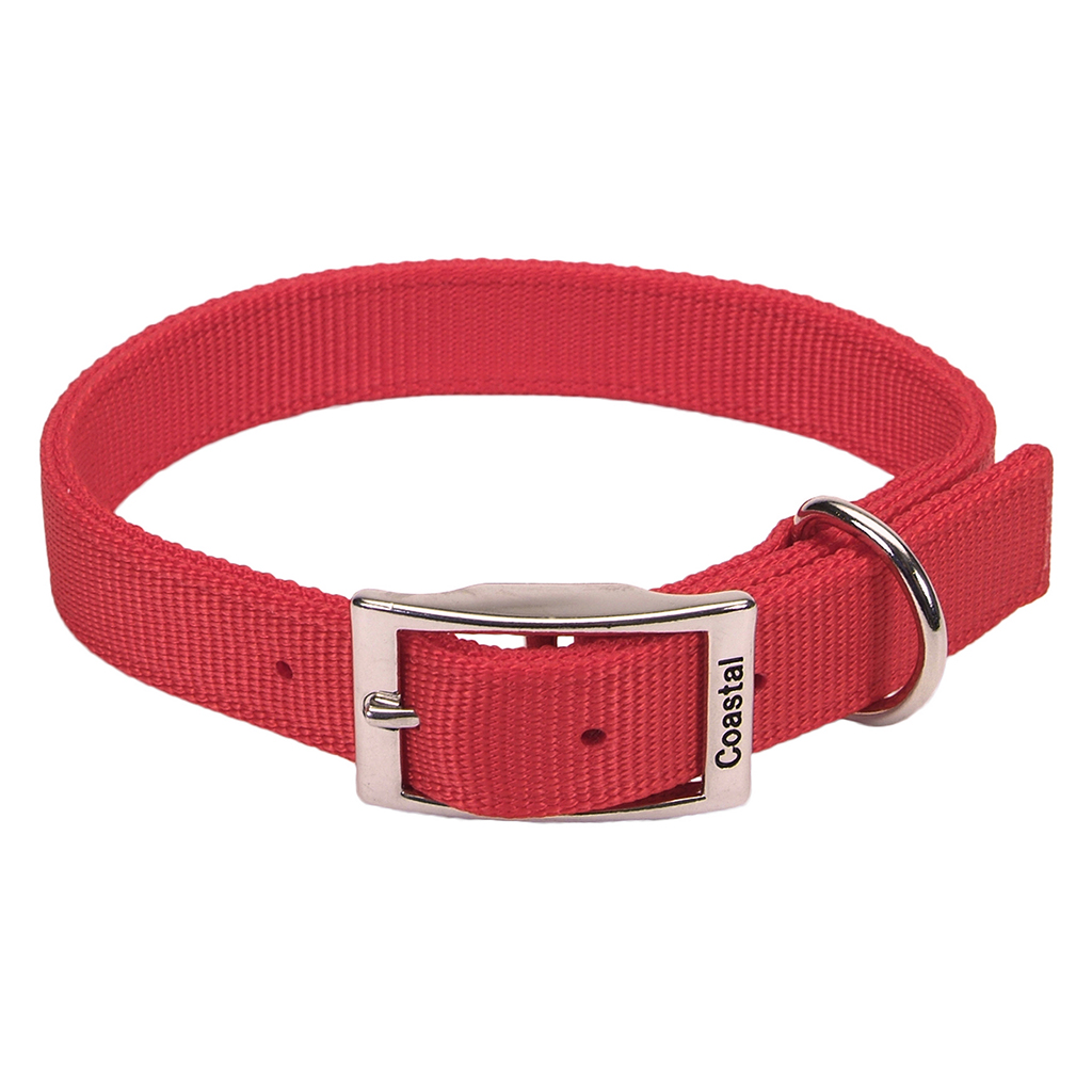 Double Ply Nylon Collar (20 x 1&quot;)