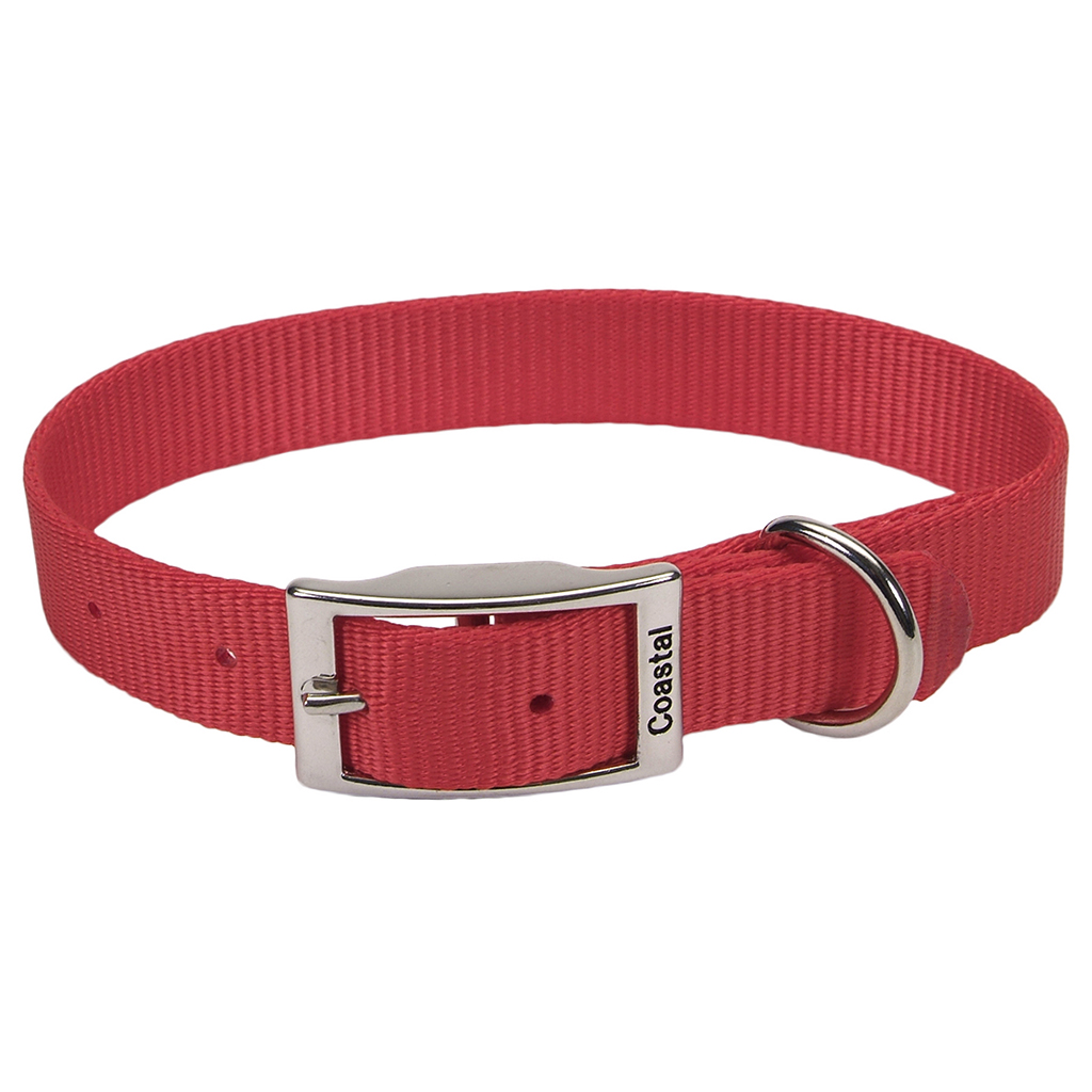 Single Ply Nylon Collar (18 x 1&quot;)