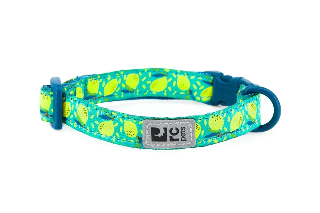 RC Pets Kitty Breakaway Collar (Lemonade)