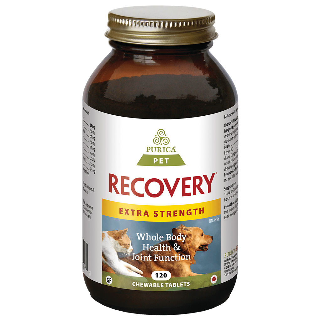 Recovery Extra Strength Chewable Tabs (120 pack)
