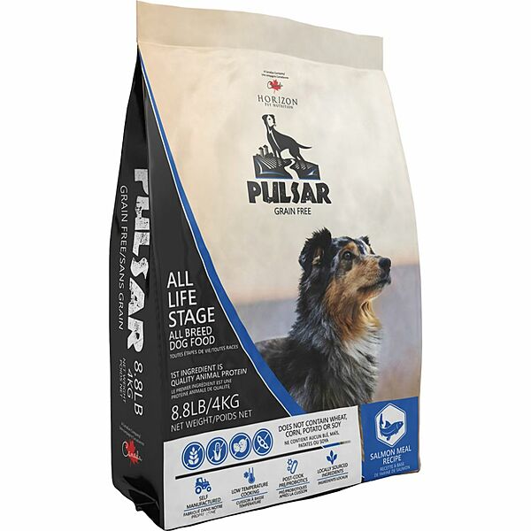 Pulsar Fish | Dog