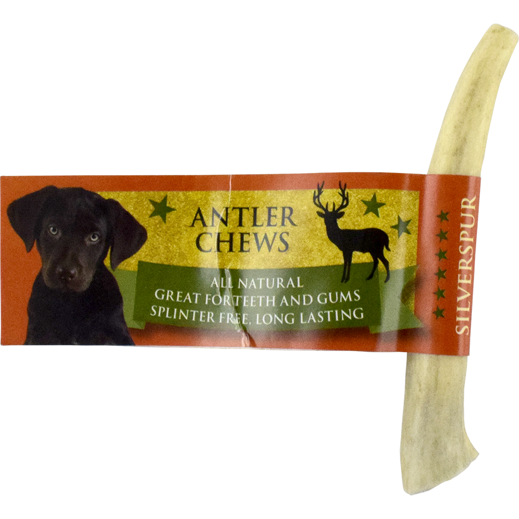 Silver Spur Naturally-Shed Elk Antler | Solid