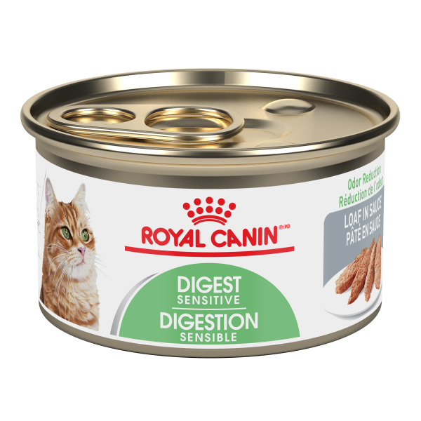 Royal Canin Digest Sensitive Loaf | Cat (3oz)