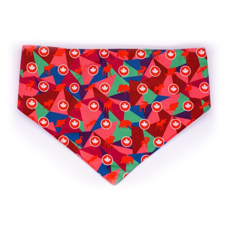 Woof Concept Premium Bandana - True North