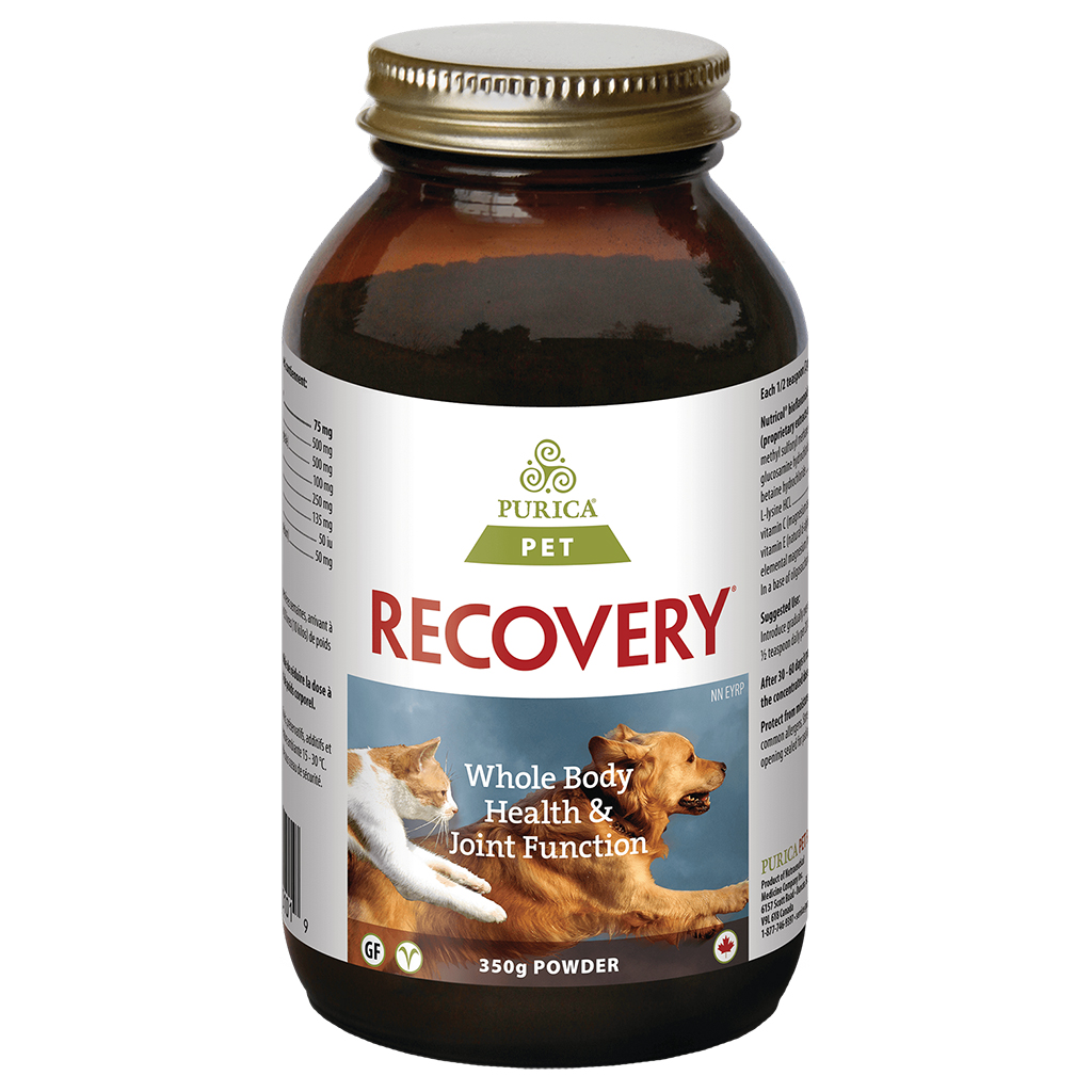 Recovery Extra Strength Powder (350g)