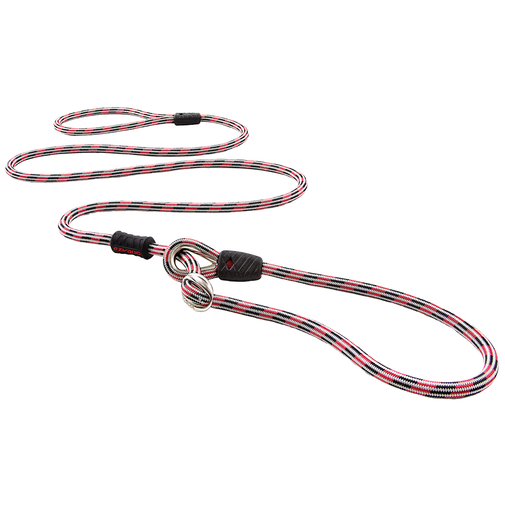 Luca All-in-One Leash &amp; Collar