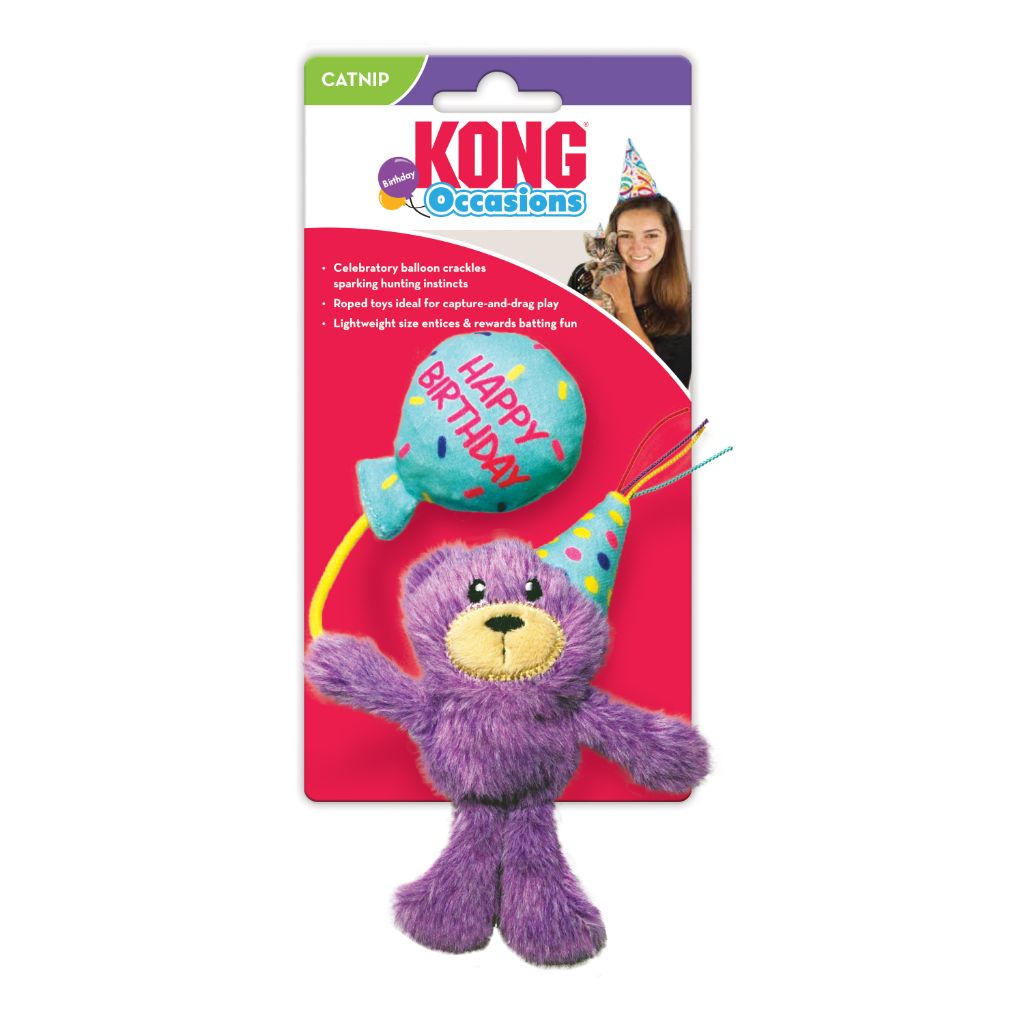 Kong Occasions Birthday Teddy | Cat