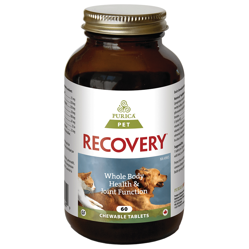 Recovery SA Chewable Tabs (60 pack)