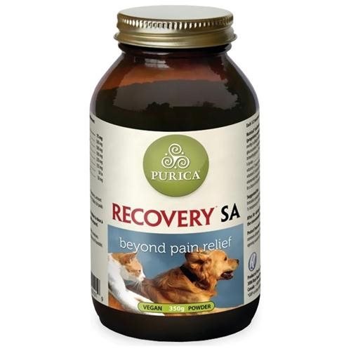 Recovery SA Powder (350g)