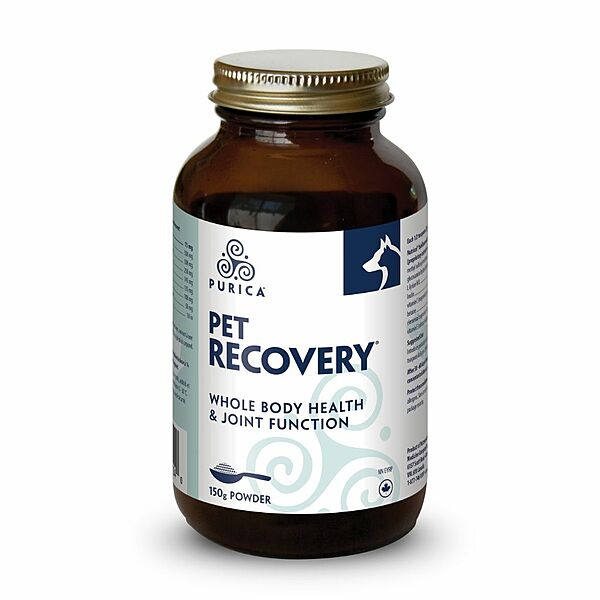 Recovery SA Powder (150g)