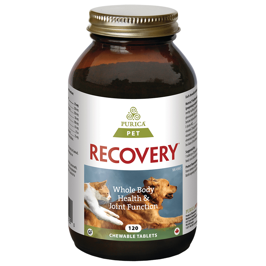 Recovery SA Chewable Tabs (120 pack)