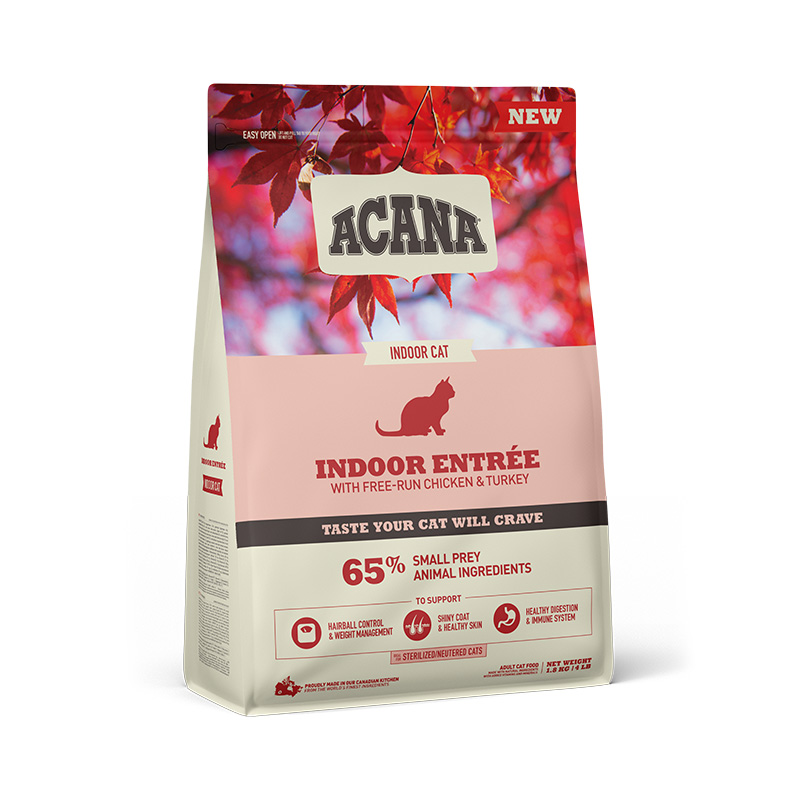 Acana Indoor Entrée | Cat