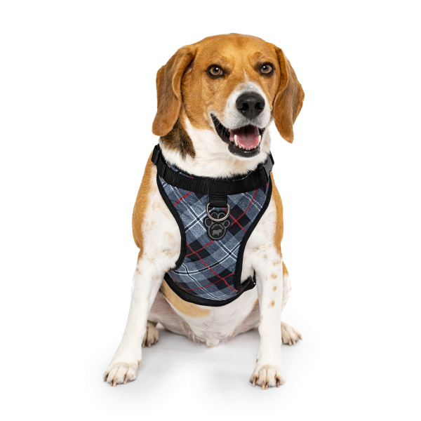 Canada Pooch Everything Harness | Plaid