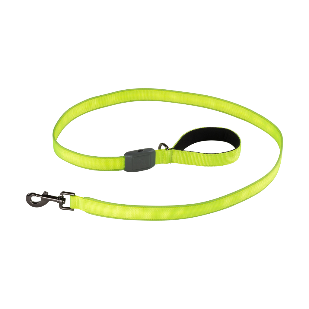 Nite Ize NiteDog Rechargeable LED Leash | Lime