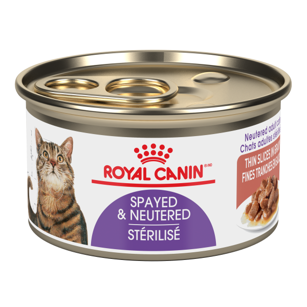 Royal Canin Spayed &amp; Neutered Slices in Gravy | Cat (3oz)