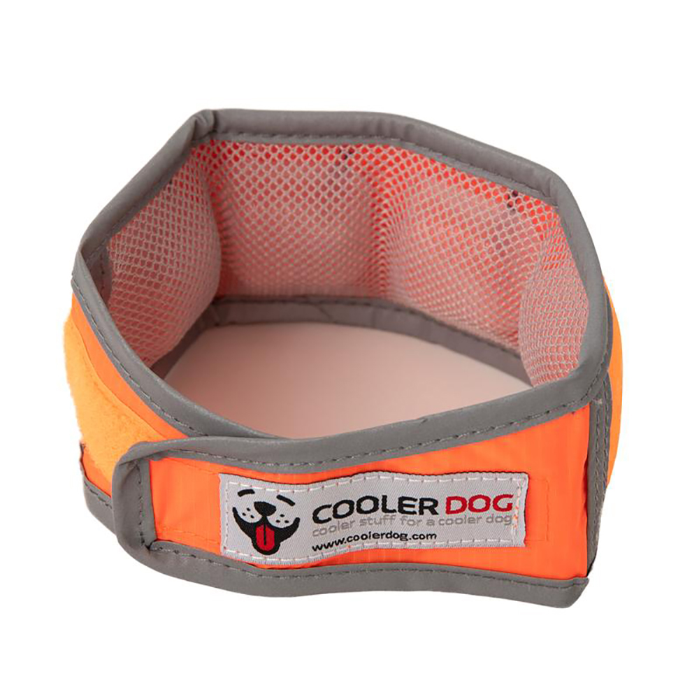 Cooler Dog Hi-Visibility Cooling Collar | Dog