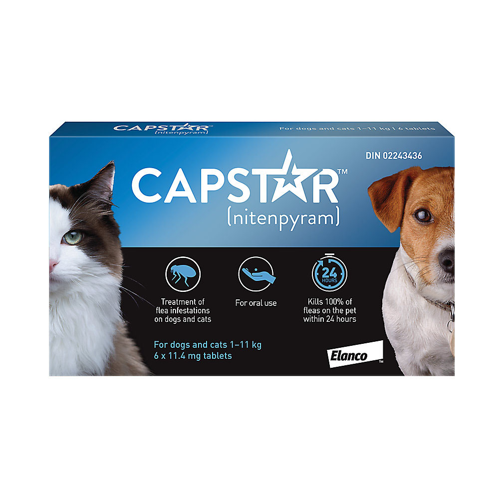 Capstar Oral Flea Treatment | Small Dog &amp; Cat (1-11 kg )