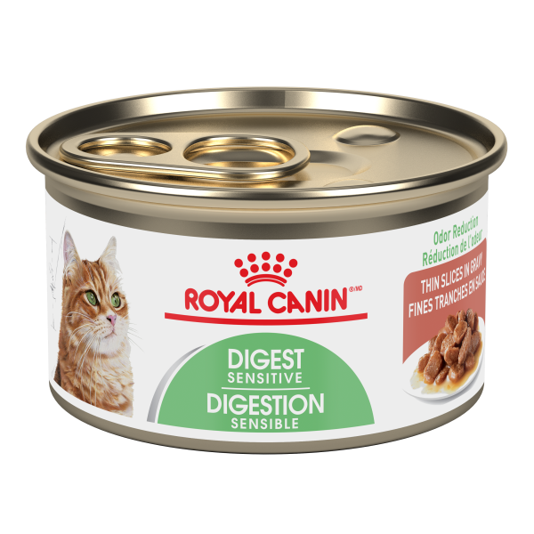 Royal Canin Digest Sensitive Slices | Cat (3oz)