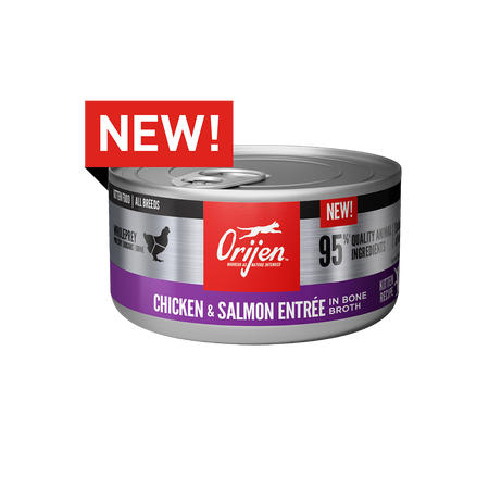 Orijen Chicken &amp; Salmon Entree | Kitten (85g)