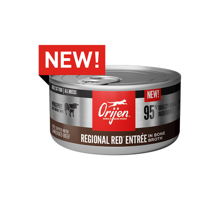 Orijen Regional Red Entree | Cat (85g)