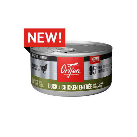 Orijen Duck &amp; Chicken Entree | Cat (85g)