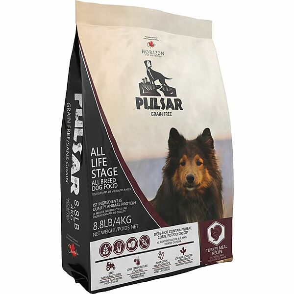 Pulsar Turkey | Dog