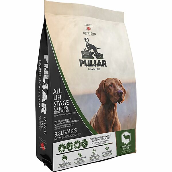 Pulsar Lamb | Dog