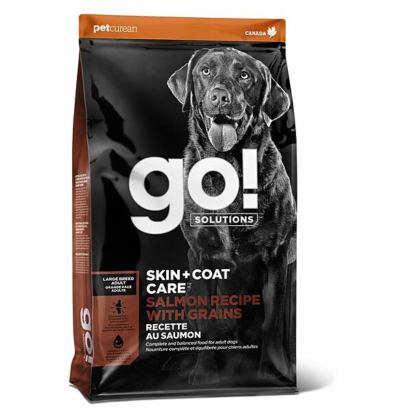 Go! Skin + Coat Large Breed Salmon | Adult Dog (25lbs)