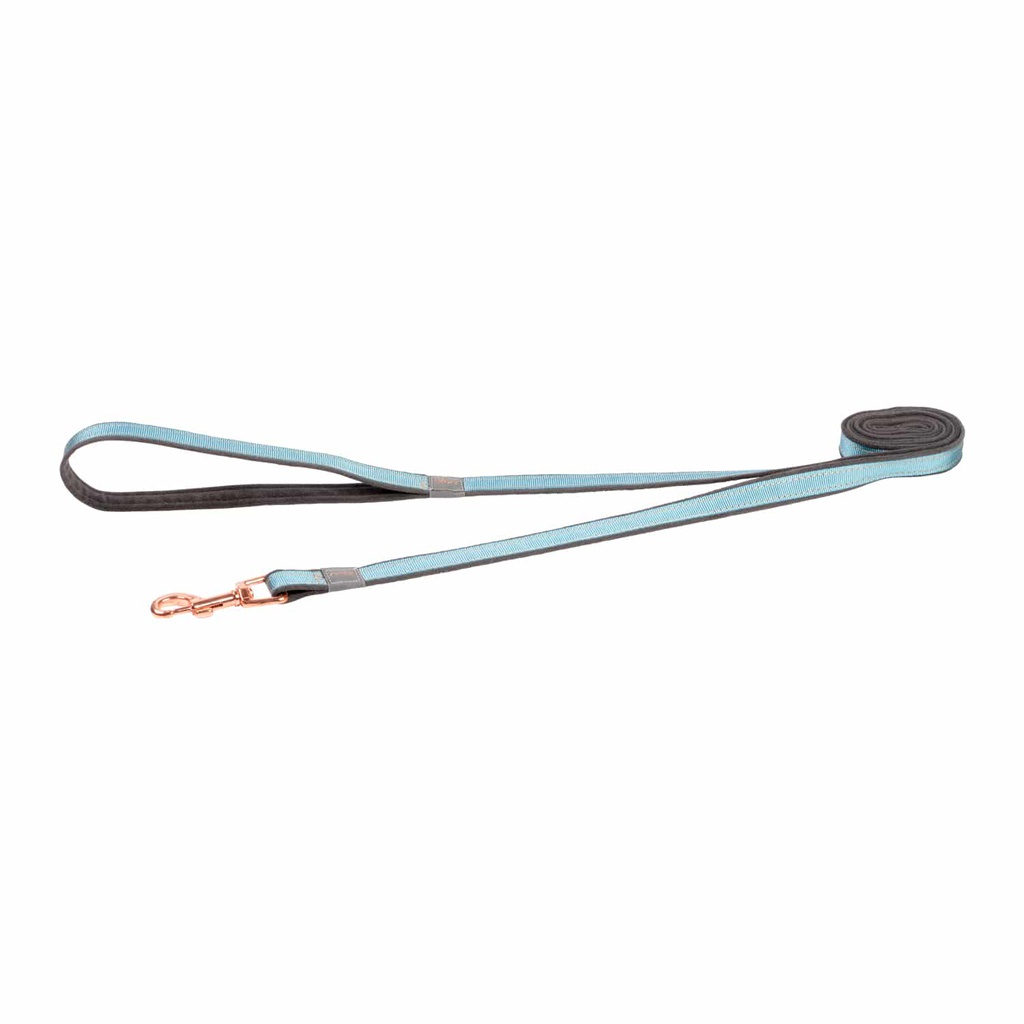 Rogz Classic Lead for Small Dogs | Urban Range (Turquoise)
