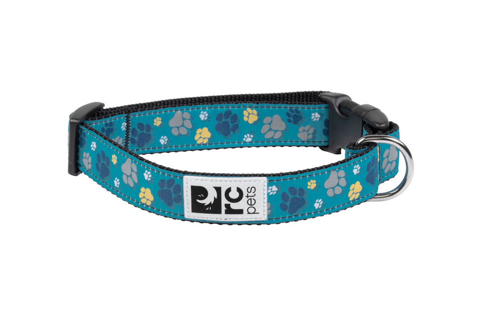 RC Pets Clip Collar (Fresh Tracks Teal)