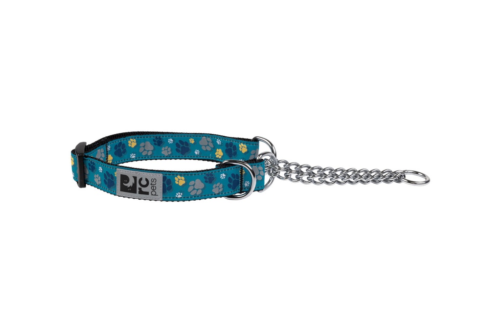 RC Pets Training Collar (Fresh Tracks Teal)