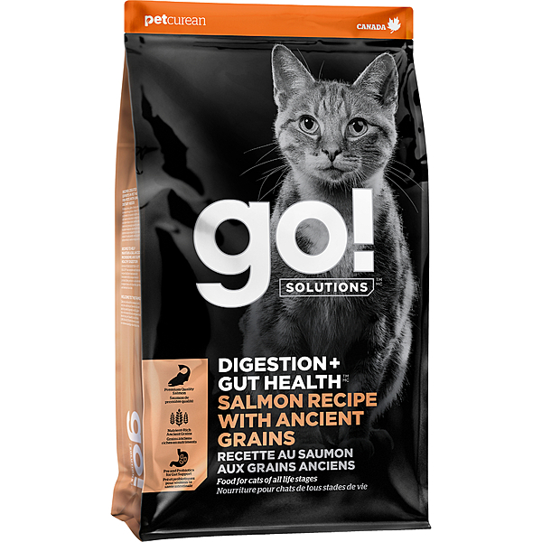 Go! Digestion + Gut Health Salmon Recipe | Cat
