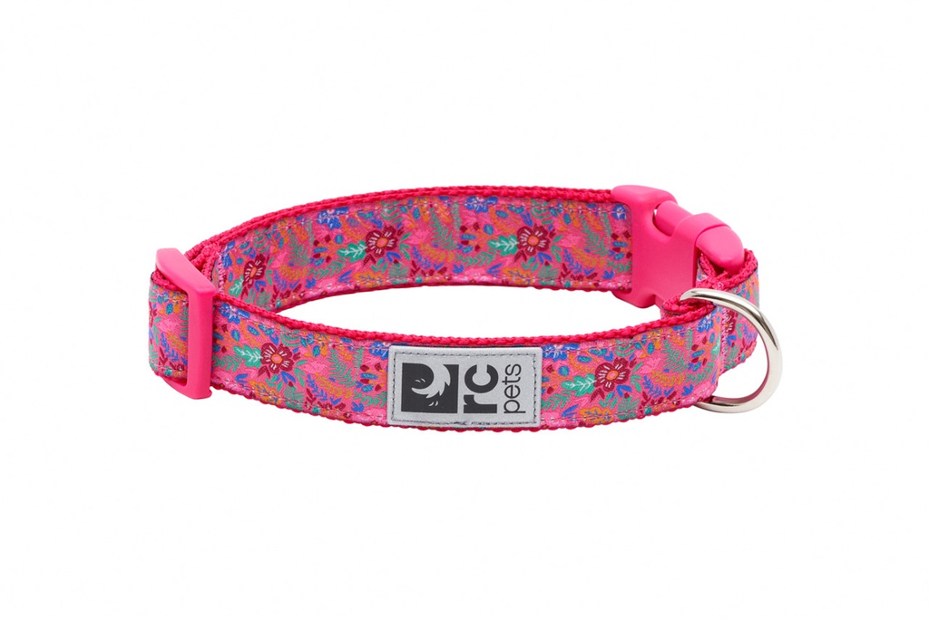 RC Pets Clip Collar (Frida)