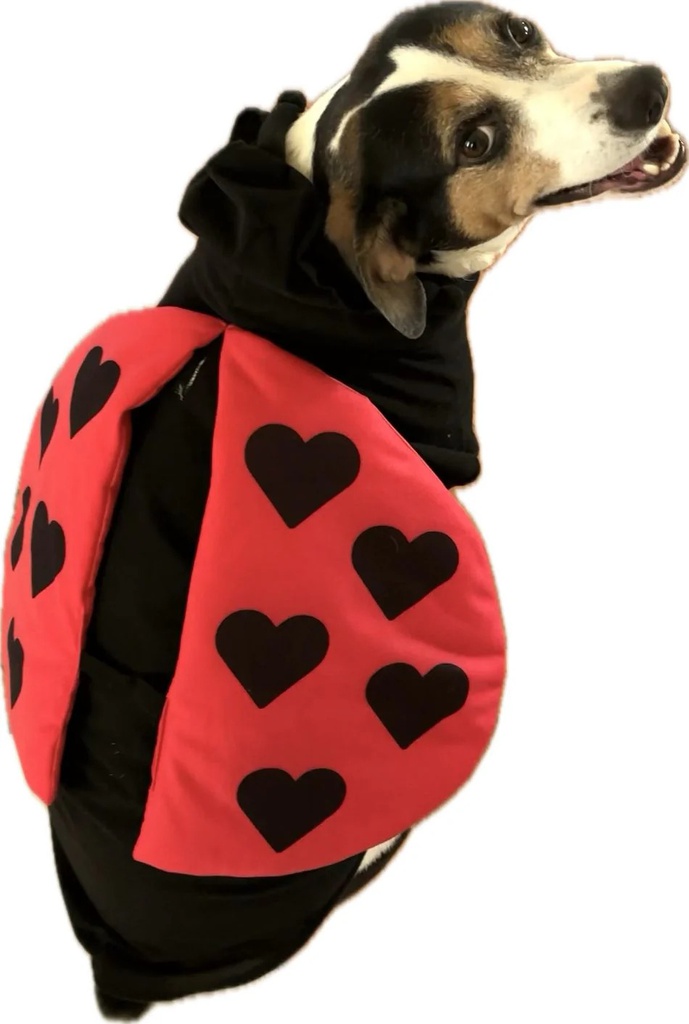 Lady Bug Costume | Halloween | Dog