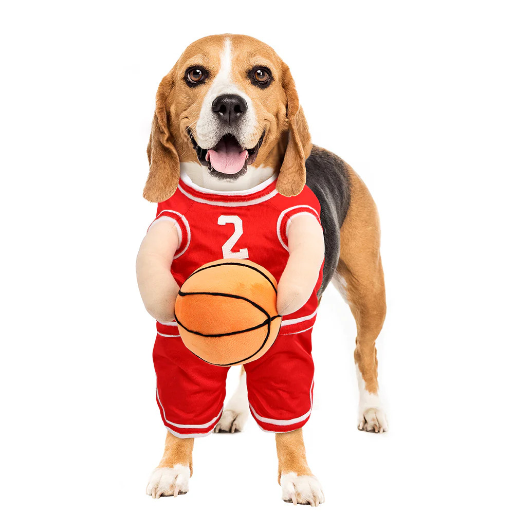 The Ball Hog Costume | Halloween | Dog