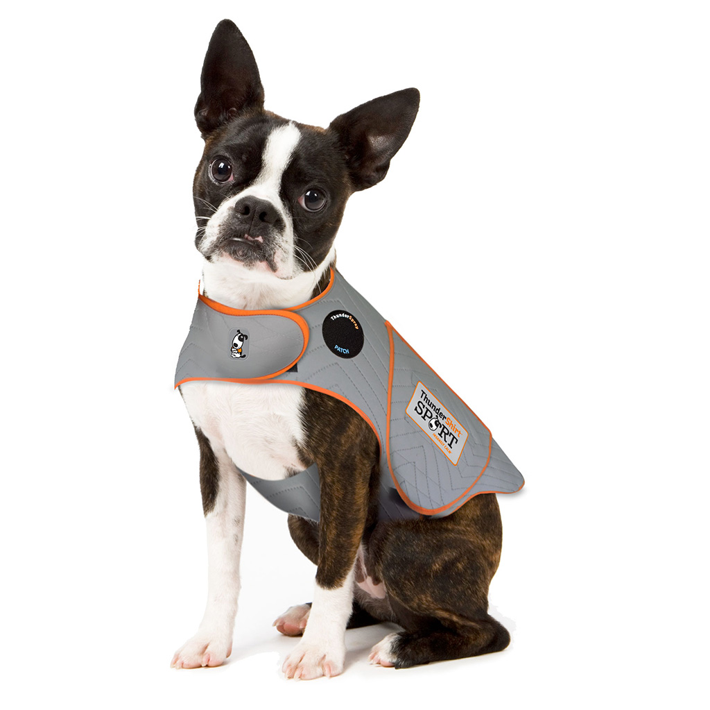 Thunder Shirt Sport Platinum