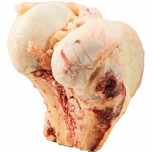 K9 Choice Frozen Buffalo Knuckle Bone