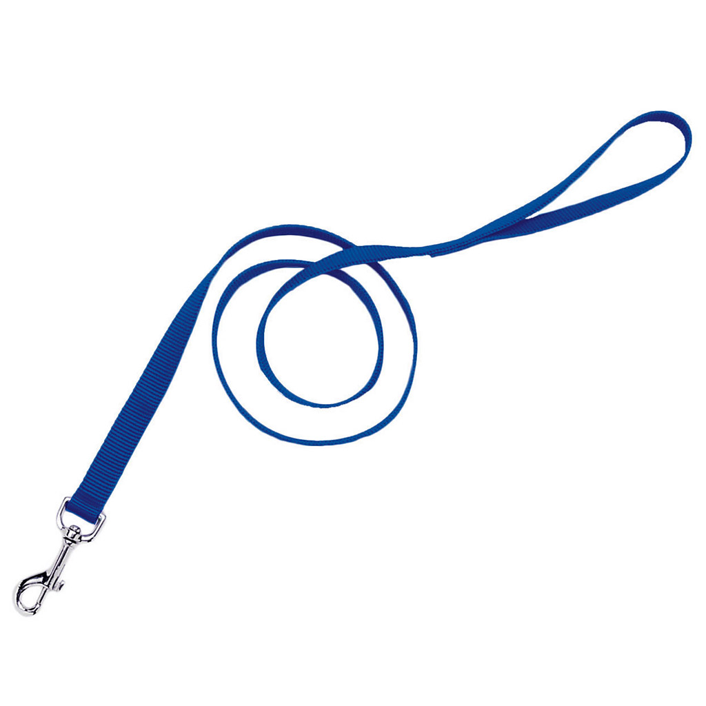 Single Ply Nylon Lead (6' x 1&quot;)