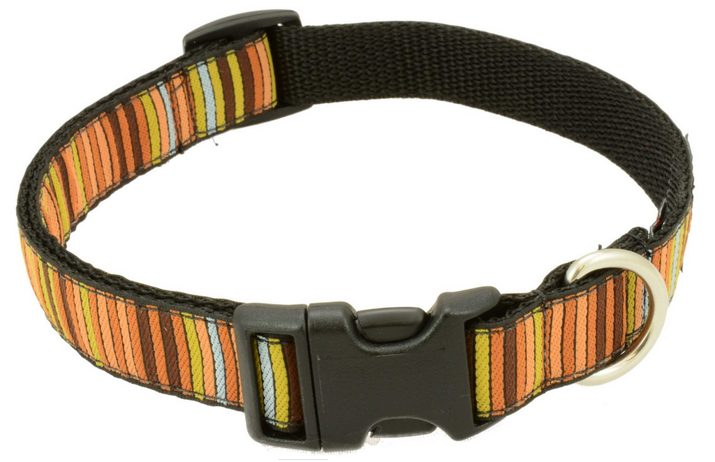 Silverfoot Dog Collar -16 Bits Brown (BI8)